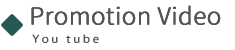 プロモーションビデオ