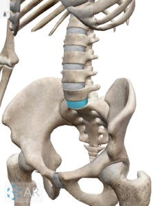 腰椎椎間板ヘルニアによる腰痛の治し方 治療 リハビリ方法 小平市小川の整体 あさば整骨院